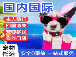 白塔机场邮寄国际宠物托运 【国